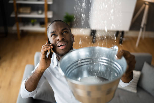 Best Local water damage restoration  in Charlack, MO