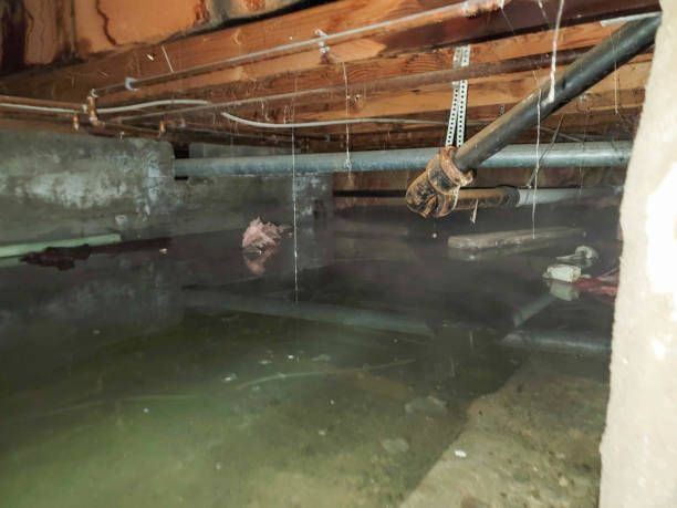 Local water damage restoration in MO