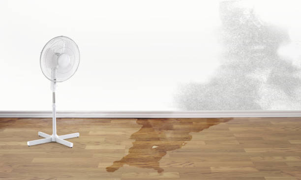 Best Water damage restoration near me  in Charlack, MO