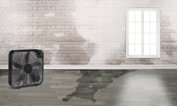 Best Water damage mitigation services  in Charlack, MO