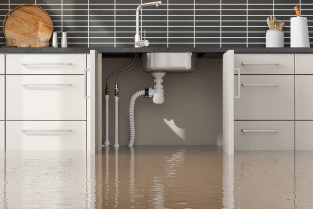 Best Flood restoration services  in Charlack, MO